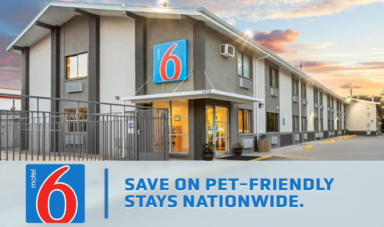 Pet-Friendly Rooms at Over 1400 Locations Near You