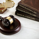 illegal immigrants