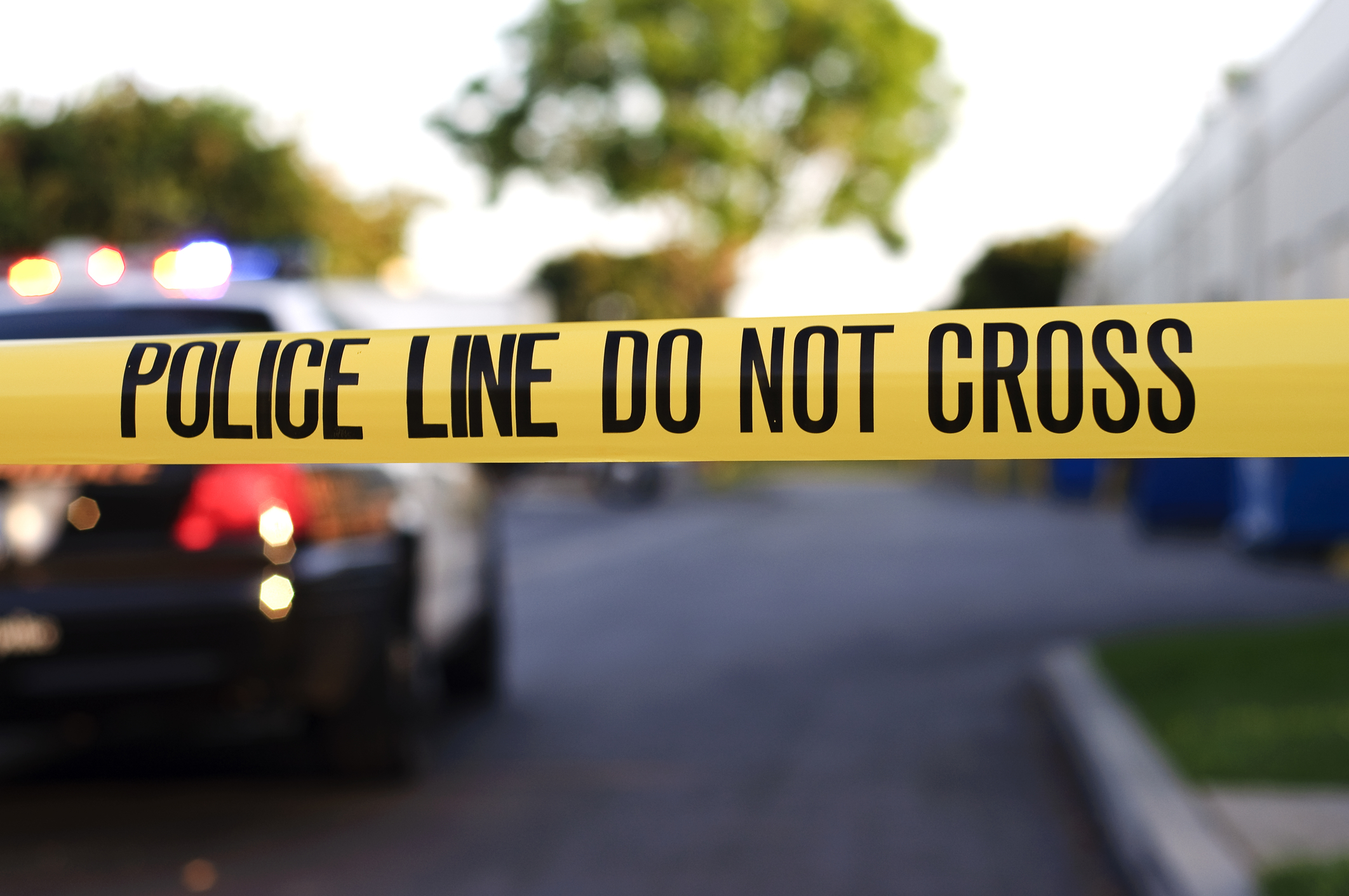 armed bystander shooting picnic