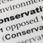 conservatives