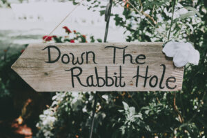 rabbit hole