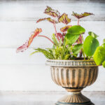 container flower