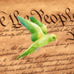 Constitutional