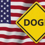 DOGE Government Spending warning sign on US flag for government waste