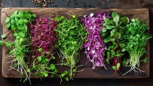 Different herbs on a cutting board