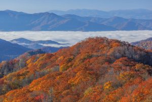 Visiting America’s National Parks