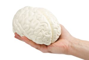 Plastic in Your Brain? How Microplastics Are Secretly Hijacking Your Health