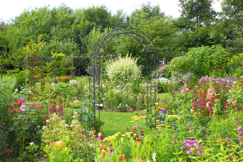 garden trellis and flowers