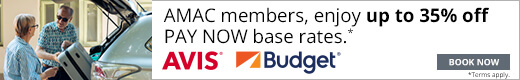 avis budget car rental
