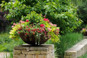 thrill fill spill planter pot in garden