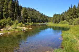 Truckee River Scenery. Truckee River Summer Scenery near Lake Tahoe, California.