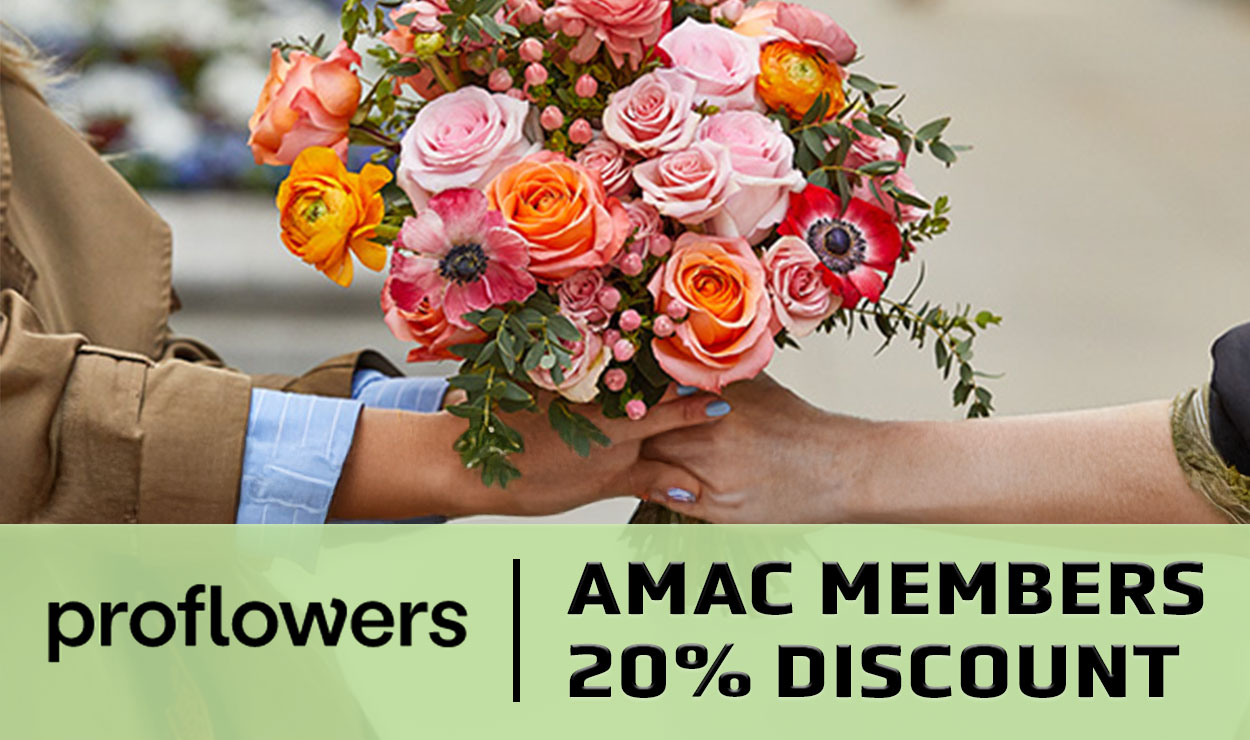 Fresh Modern Flower Arrangements Delivered to You