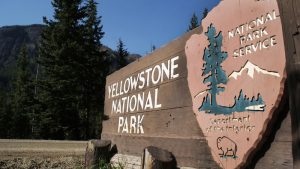 yellowstone national park