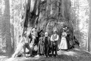 Sequoia National Park
