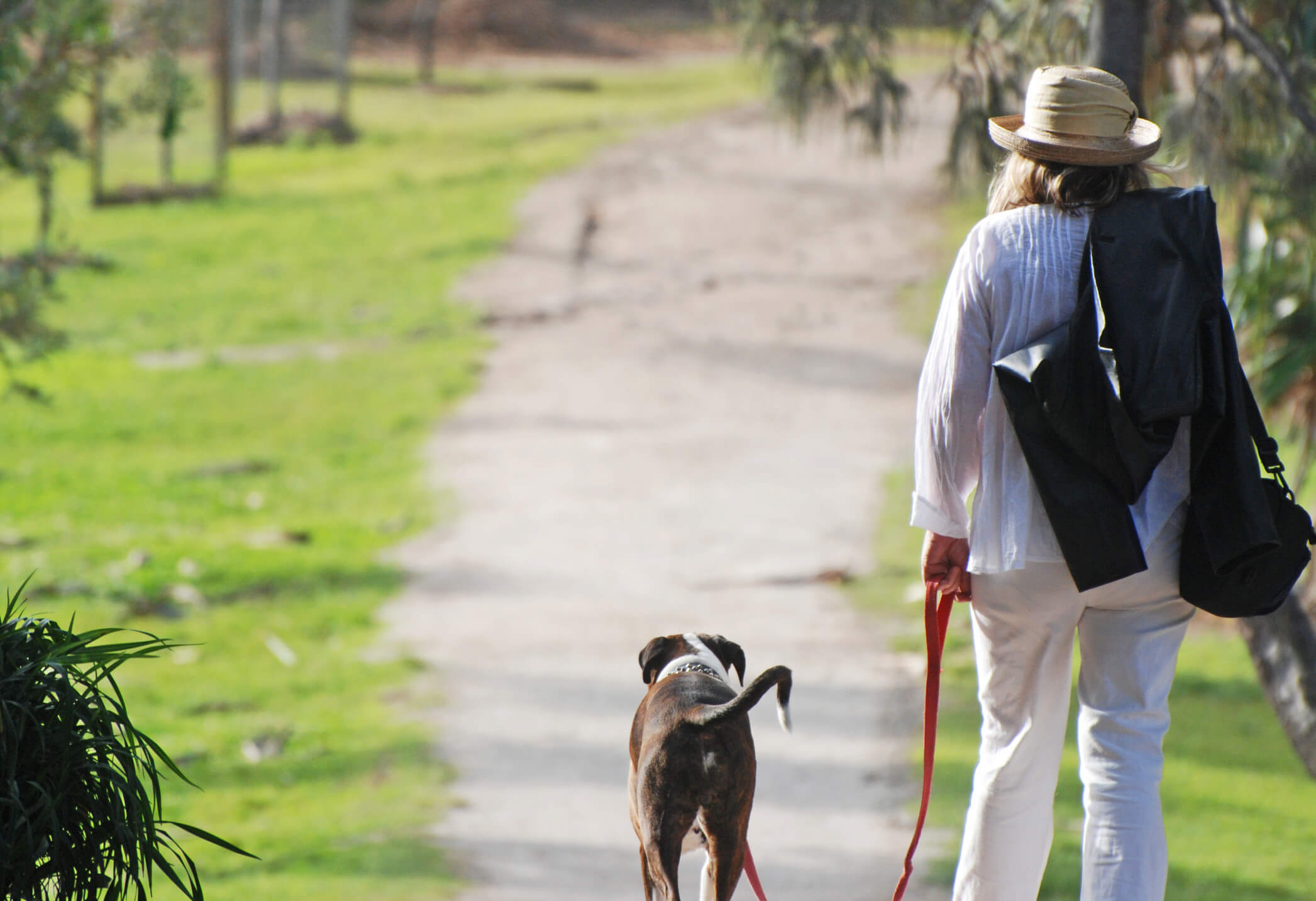 Mature woman on holiday walking pet dog. A nostalgic type portrait of a middle-aged woman taking her pet dog for a relaxing walk on a leash while on an enjoyable vacation.