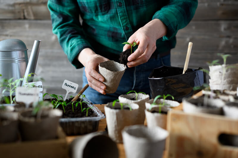 spring gardener planting in the garden
