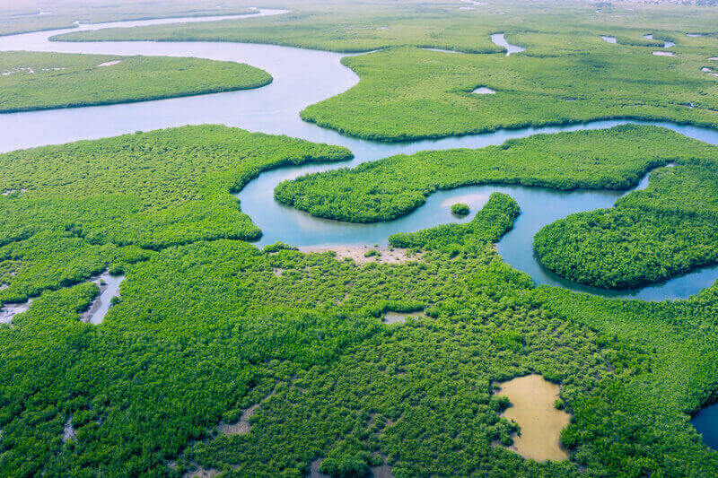 Aerial view of Amazon rainforest in Brazil, South America. Green forest. Bird`s-eye view.