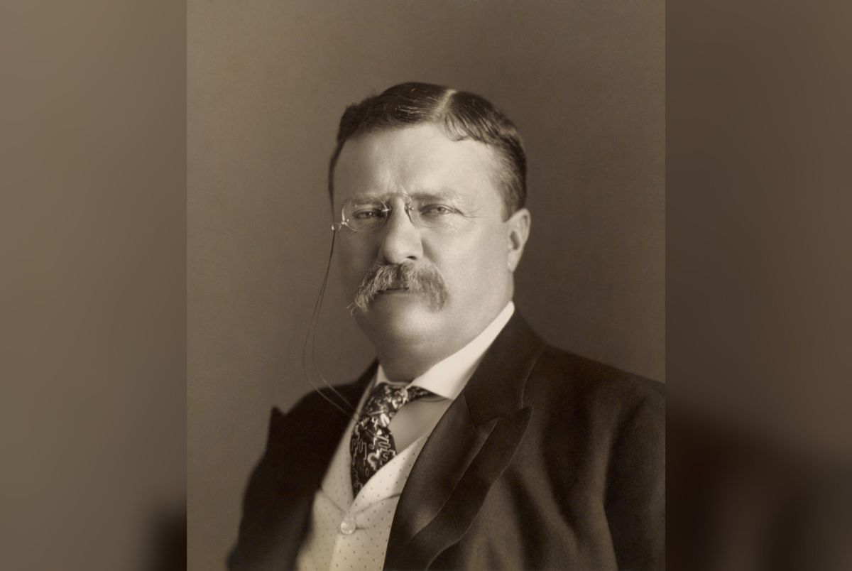 Photograph of Theodore Roosevelt showing head and shoulders, facing slightly left. No information on size of the photo given. Restoration notes Lots of scratches, which I carefully removed. Mainly just a dust and scratch removal, but I did apply a very slight sharpening to the right half of his moustache.