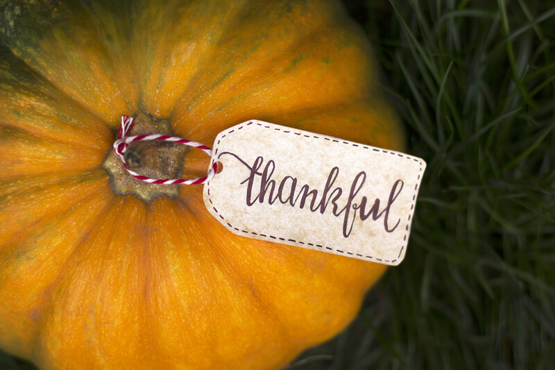 The inscription `Thankful` on the pumpkin. Thanksgiving Day.