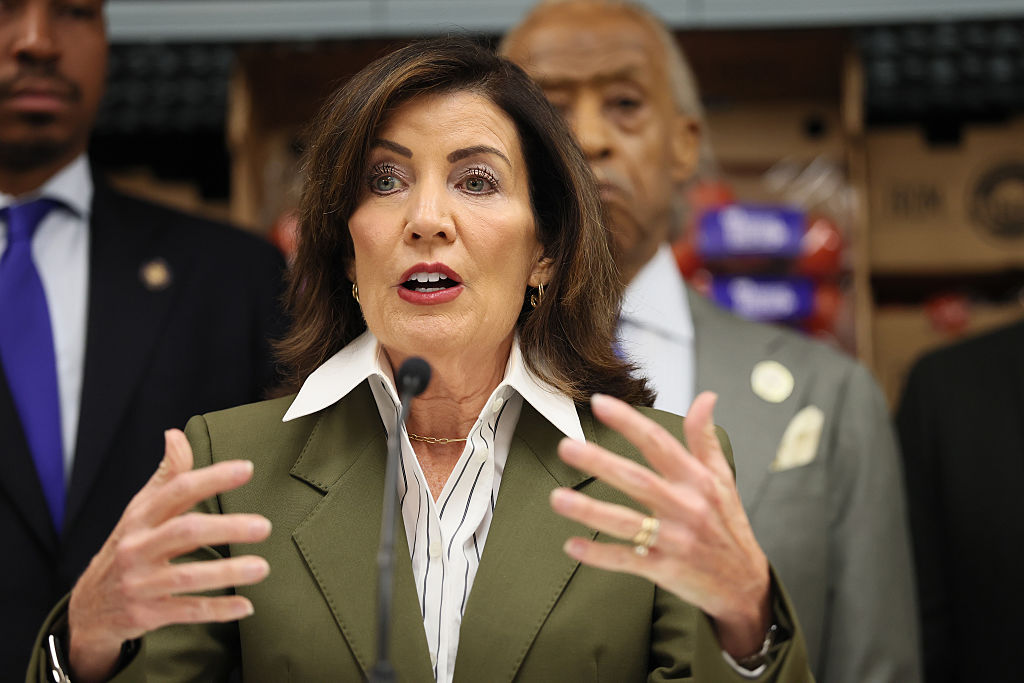 governor hochul, fraud