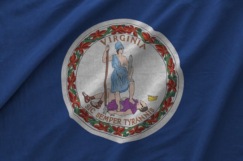 Virginia state flag