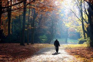 Autumn of life, Walking senior man. Autumn of life. Senior man walking with his back to the camera in forest, park