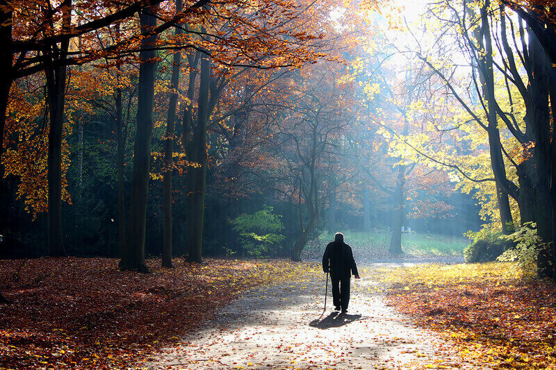 Autumn of life, Walking senior man. Autumn of life. Senior man walking with his back to the camera in forest, park