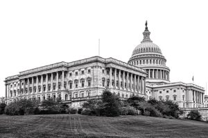 United States Capitol Senate Wing in Washington DC. United States Capitol Senate wing building with neo classical architecture style Corinthian columns and capitol dome over West Central Front from the North lawn grounds in the US American capital of Washington DC