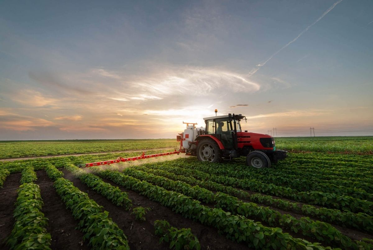 Tractor spraying soybean field. Tractor spraying pesticides on soybean field with sprayer at spring