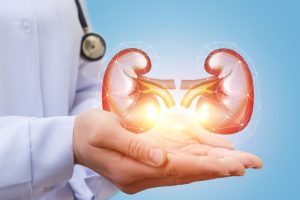 kidney health