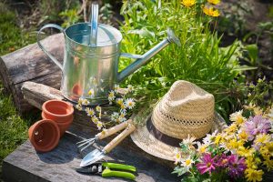 A vintage-style galvanized steel watering can along with various gardening tools.