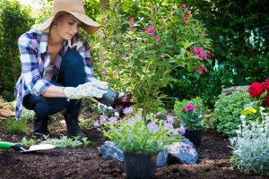 A woman gardening in their yard, tending to various plants and flowers.