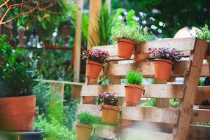 A vertical garden features terracotta flower pots mounted onto a repurposed wooden shipping pallet for a rustic, space-saving display.