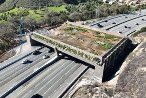 California closes in on completing the world’s largest wildlife crossing