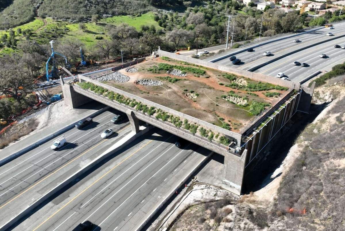 California closes in on completing the world’s largest wildlife crossing