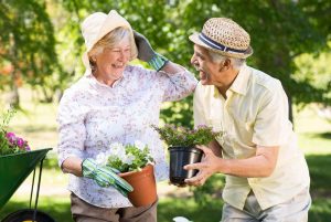 Happy senior couple gardening on a sunny day
