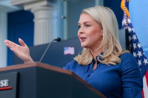 democrats affordability fraud, karoline leavitt speaking