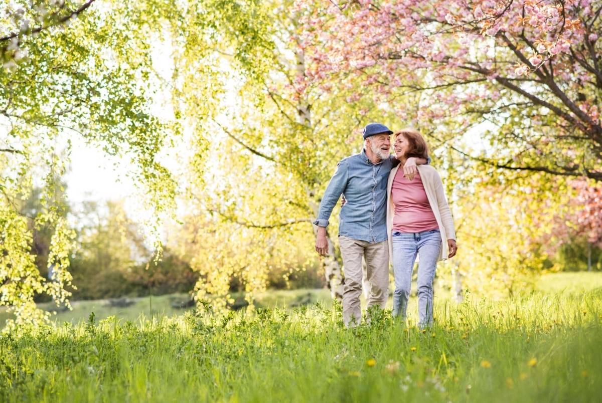 Beautiful senior couple in love outside in spring nature. Beautiful senior couple in love on a walk outside in spring nature under blossoming trees.