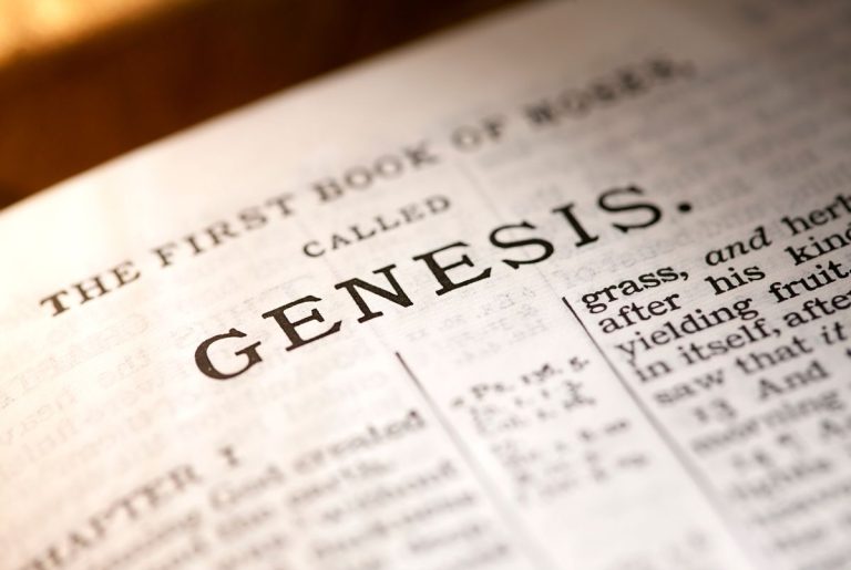 genesis in the holy bible, story of sarah