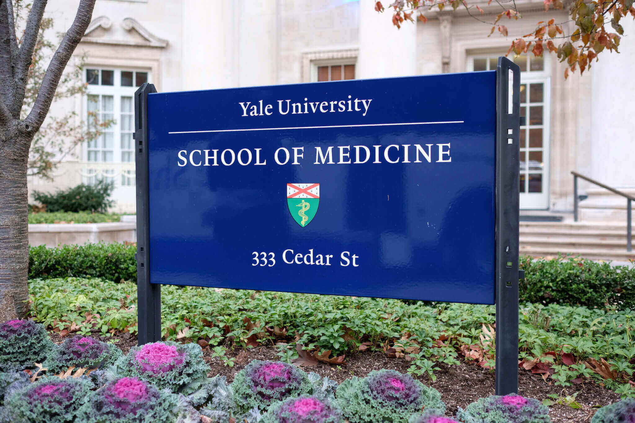 Yale-Medical-School