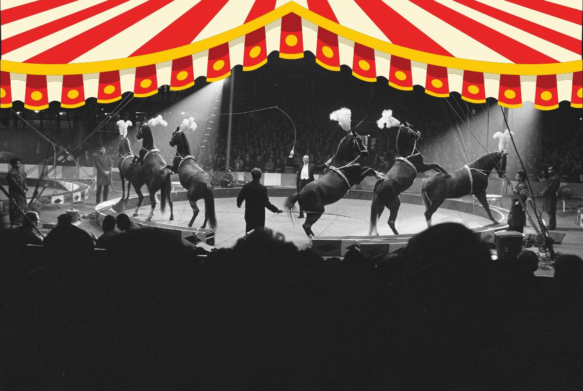 Circus-Yesteryear