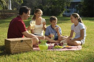 This image shows a family enjoying a picnic on a sunny day in a lush green park.