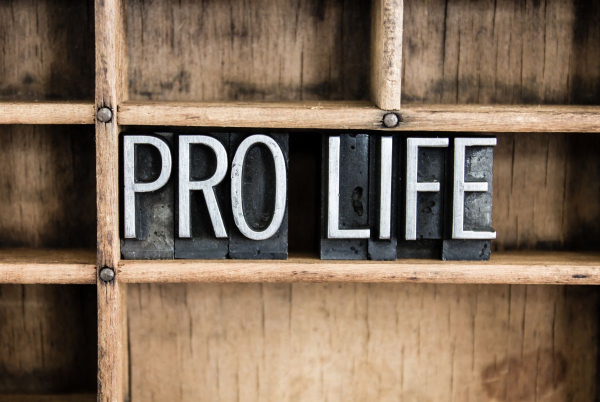 pro life, amac action