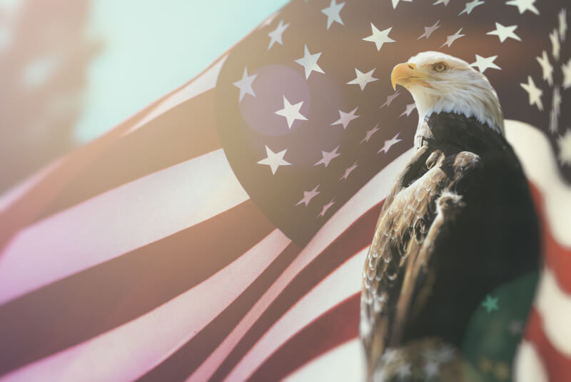 america flag