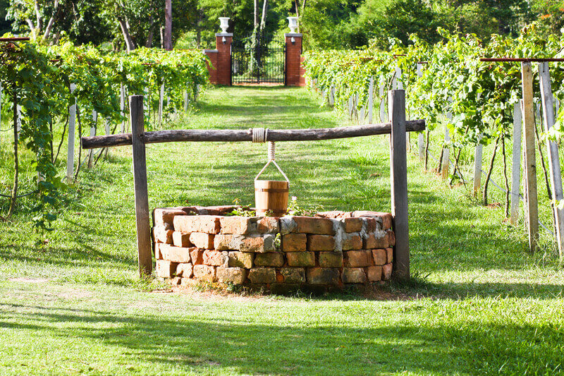 Water-well in grape field. Water-well at between the line of grape field in Thailand